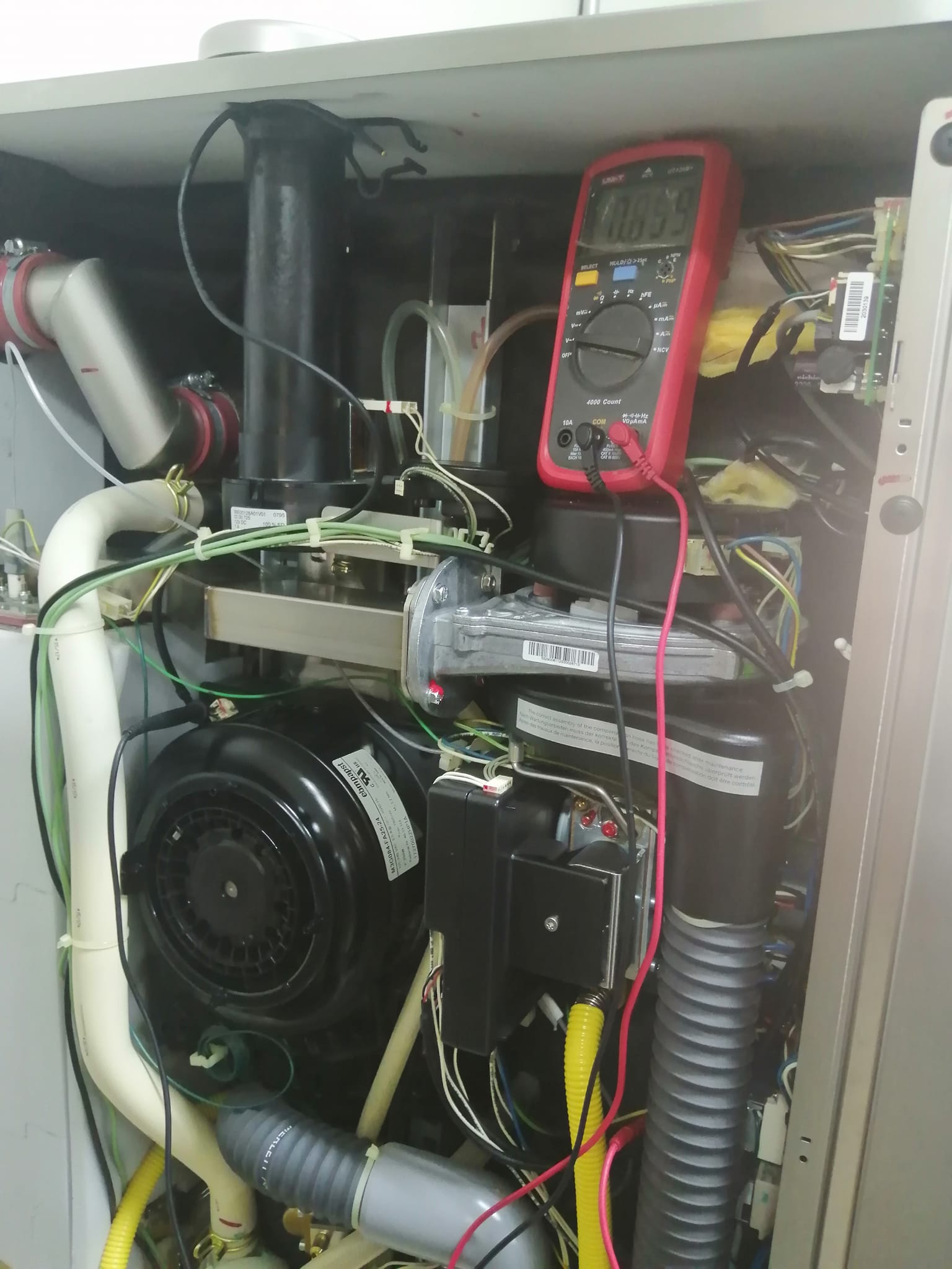 336921055_238523168570106_5555173128714173770_n